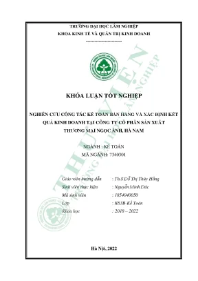 Nghiên cứu công tác kế toán bán hàng và xác định kết quả kinh doanh tại công ty cổ phần sản xuất thương mại ngọc ánh hà nam