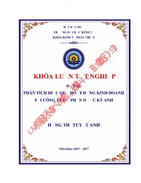 Phân tích hiệu quả hoạt động kinh doanh tại công ty cổ phần dược kỳ anh