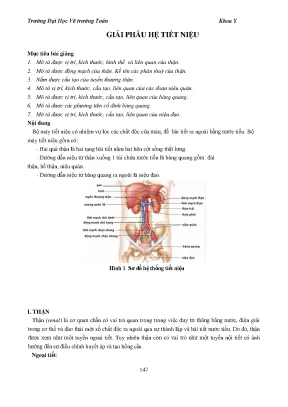 Giao trinh giai phau duoc phan 2 8376