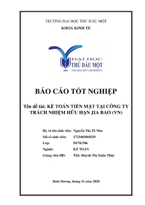 Khóa luận tốt nghiệp kế toán tiền mặt tại công ty tnhh jia bao vn