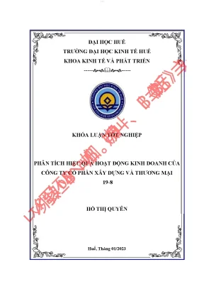 Phân tích hiệu quả hoạt động kinh doanh của công ty cổ phần xây dựng và thương mại 19 8