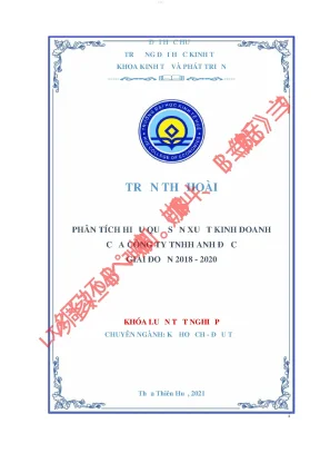 Phân tích hiệu quả sản xuất kinh doanh của công ty tnhh anh đức