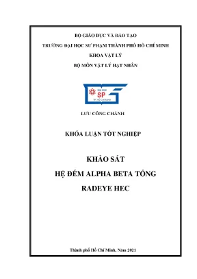 Khảo sát hệ đếm alpha beta tổng radeye hec