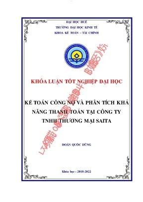 Kế toán công nợ và phân tích khả năng thanh toán tại công ty tnhh thương mại saita