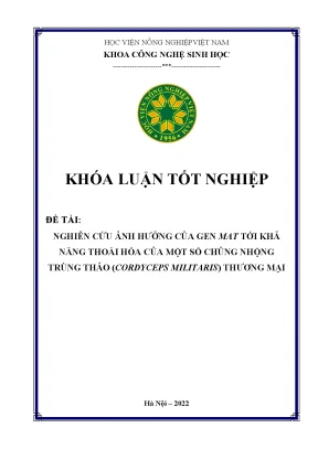 Nghiên cứu ảnh hưởng của gen mat tới khả năng thoái hóa của một số chủng nhộng trùng thảo cordyceps militaris thương mại