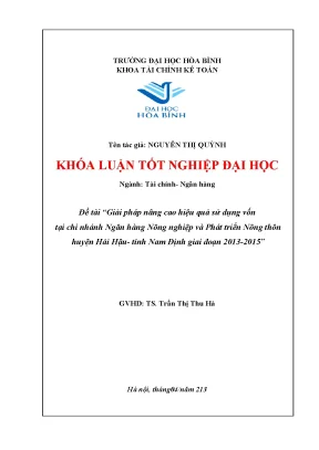Giải pháp nâng cao hiệu quả sử dụng vốn tại chi nhánh ngân hàng nông nghiệp và phát triển nông thôn huyện hải hậu tỉnh nam định giai đoạn 2013 2015