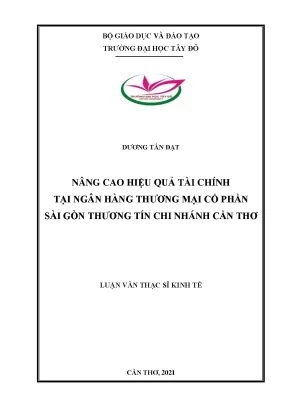 Nâng cao hiệu quả hoạt động tài chính tại ngân hàng tmcp sài gòn thương tín chi nhánh cần thơ