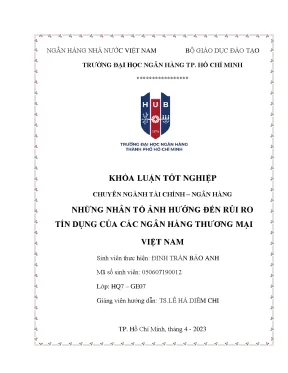 Những nhân tố ảnh hưởng đến rủi ro tín dụng của các ngân hàng thương mại việt nam