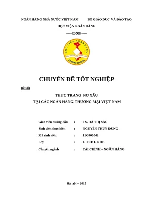 Luận văn tốt nghiệp thực trạng nợ xấu tại các nhtm việt nam