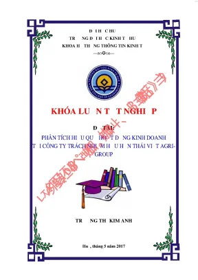 Phân tích hiệu quả hoạt động kinh doanh tại công ty trách nhiệm hữu hạn thái việt agri group