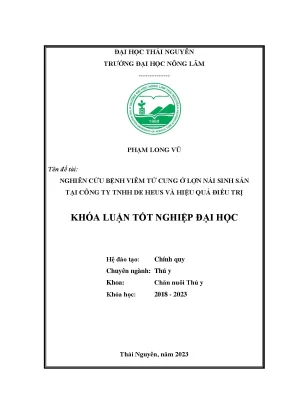 Nghiên cứu bệnh viêm tử cung ở lợn nái sinh sản nuôi tại công ty trách nhiệm hữ hạn de heus và hiệu quả điều trị