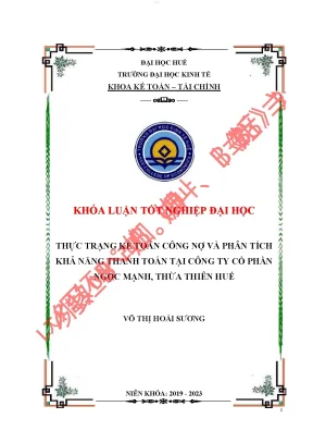 Kế toán công nợ và phân tích khả năng thanh toán tại công ty cổ phần ngọc mạnh