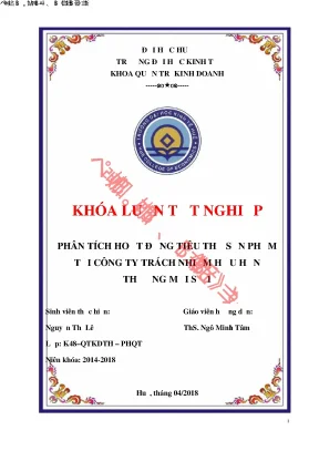Phân tích hoạt động tiêu thụ sản phẩm tại công ty trách nhiệm hữu hạn thương mại số 1