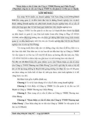 Luận văn hoàn thiện cơ cấu tổ chức cho công ty tnhh thương mại chấn phong