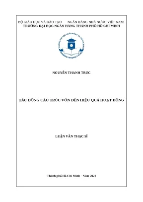 0290 tác động cấu trúc vốn đến hiệu quả hoạt động dn luận văn thạc sĩ tcnh nguyễn thanh trúc võ minh long tp hcm đh nh hcm 2021 66 xviii tr