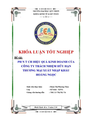 Phân tích hiệu quả kinh doanh của công ty trách nhiệm hữu hạn thương mại xuất nhập khẩu khẩu hoàng ngọc
