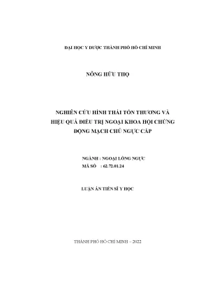 Nghiên cứu hình thái tổn thương và hiệu quả điều trị ngoại khoa hội chứng động mạch chủ ngực cấp