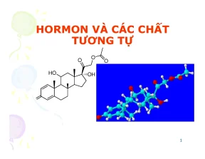 Hormon và các dẫn chất tương tự đặc điểm cấu tạo liên quan cấu trúc tác dụng tính chất lý hóa ứng dụng định tính định lượng
