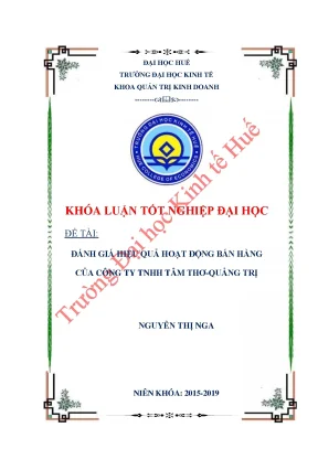 Đánh giá hiệu quả hoạt động bán hàng của công ty tnhh tâm thơ quảng trị