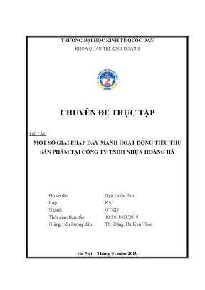 Một số giải pháp đẩy mạnh hoạt động tiêu thụ sản phẩm tại công ty trách nhiệm hữu hạn nhựa hoàng hà