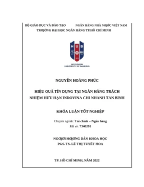 Khóa luận tốt nghiệp hiệu quả tín dụng tại ngân hàng tnhh indovina chi nhánh tân bình