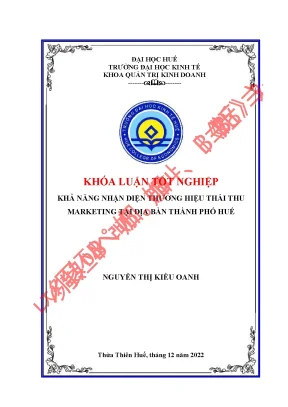 Khả năng nhận diện thương hiệu thái thu marketing tại địa bàn thành phố huế