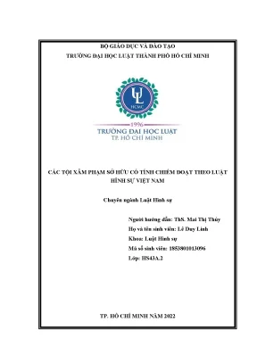 Các tội xâm phạm sở hữu có tính chiếm đoạt theo luật hình sự việt nam