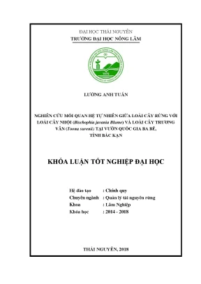 Khóa luận tốt nghiệp nghiên cứu mối quan hệ tự nhiên giữa loài cây rừng với loài cây nhội bischophia javania blume và loài cây trương vân toona surenii tại vườn quốc gia ba bể tỉnh bắc kạn