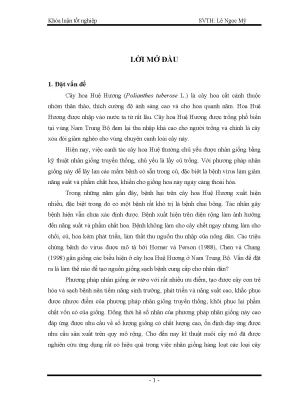 Khóa luận tốt nghiệp hutech