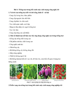 Lý thuyết công nghệ 10 cánh diều full
