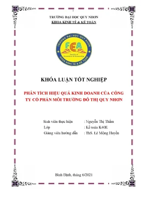 Phân tích hiệu quả kinh doanh của công ty cổ phần môi trường đô thị quy nhơn
