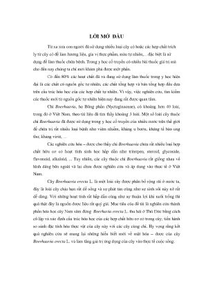 Khóa luận khảo sát thành phần hóa học cao etyl acetat của cây nam sâm đứng boerhaavia erecta l họ bông phấn nyctaginaceae