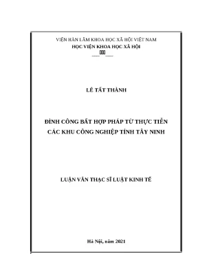 Luận văn thạc sỹ đình công bất hợp pháp từ thực tiễn các khu công nghiệp tỉnh tây ninh