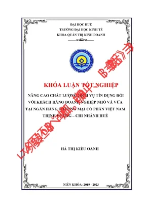 Nâng cao chất lượng dịch vụ tín dụng đối với khách hàng doanh nghiệp nhỏ và vừa tại ngân hàng tmcp việt nam thịnh vượng chi nhánh huế