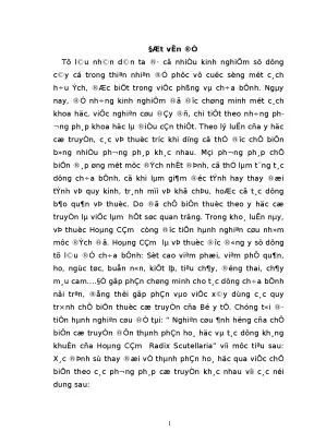 Nghiên cứu ảnh hưởng của chế biến cổ truyền đến thành phần hoá học và tác dụng kháng khuẩn của hoàng cầm radix scutellaria