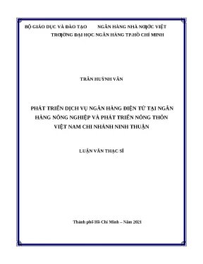 0493 phát triển dịch vụ nh điện tử tại nh nông nghiệp và ptnt việt nam chi nhánh ninh thuận luận văn thạc sĩ tcnh trần huỳnh vân nguyễn tuấn anh tp hcm
