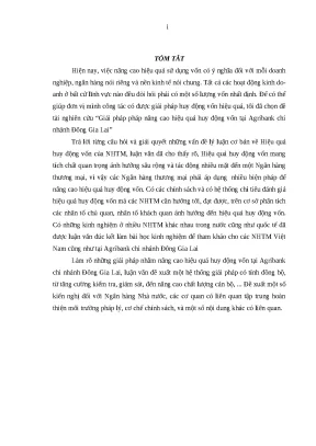 1093 giải pháp nâng cao hiệu quả huy động vốn tại nh nông nghiệp và ptnt việt nam chi nhánh đông gia lai luận văn thạc sĩ kinh tế lê vy anh tp hcm đh n