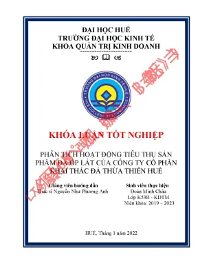 Phân tích hoạt động tiêu thụ sản phẩm đá ốp lát của công ty cổ phần khai thác đá thừa thiên huế