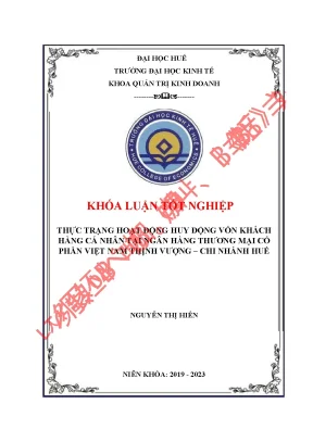 Thực trạng hoạt động huy động vốn từ khách hàng cá nhân tại ngân hàng tmcp việt nam thịnh vượng chi nhánh huế