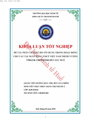 Phân tích rủi ro tín dụng trong hoạt động cho vay tại ngân hàng tmcp việt nam thịnh vượng vpbank chi nhánh bến ngự huế