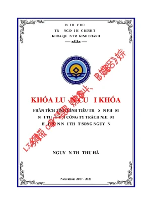 Khóa luận tốt nghiệp phân tích tình hình tiêu thụ sản phẩm nội thất tại công ty tnhh nội thất song nguyễn