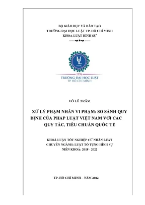 Xử lý phạm nhân vi phạm so sánh quy định của pháp luật việt nam với các quy tắc tiêu chuẩn quốc tế