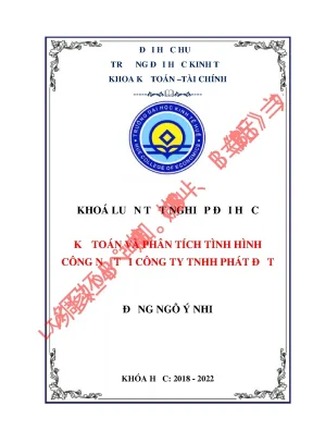 Kế toán và phân tích tình hình công nợ tại công ty tnhh phát đạt
