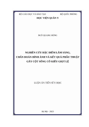 Luận án nghiên cứu đặc điểm lâm sàng chẩn đoán hình ảnh và kết quả điều trị phẫu thuật gãy cột sống cổ kiểu giọt lệ