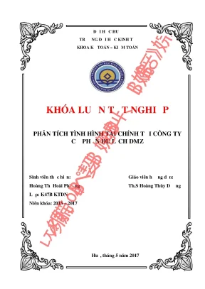 Khóa luận tốt nghiệp phân tích tình hình tài chính tại công ty cổ phần dmz