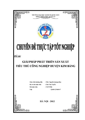Khóa luận tốt nghiệp giải pháp phát triển sản xuất tiểu thủ công nghiệp huyện kim bảng