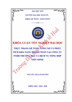 Thực trạng kết toán công nợ và phân tích khả năng thanh toán tại công ty tnhh thương mại và dịch vụ tổng hợp tiến minh