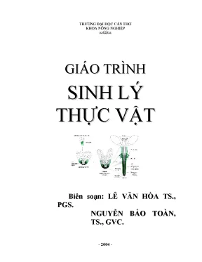 507085