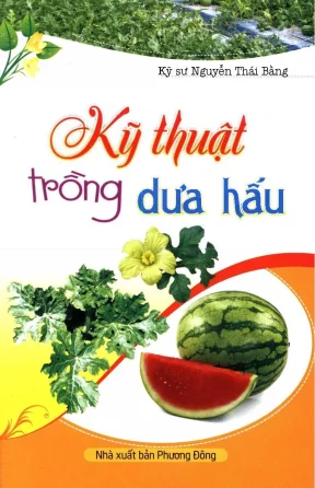 Kỹ thuật trồng dưa hấu phần 1