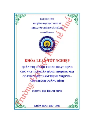 Quản trị rủi ro trong hoạt động cho vay tại ngân hàng thương mại cổ phần việt nam thịnh vượng chi nhánh quảng bình